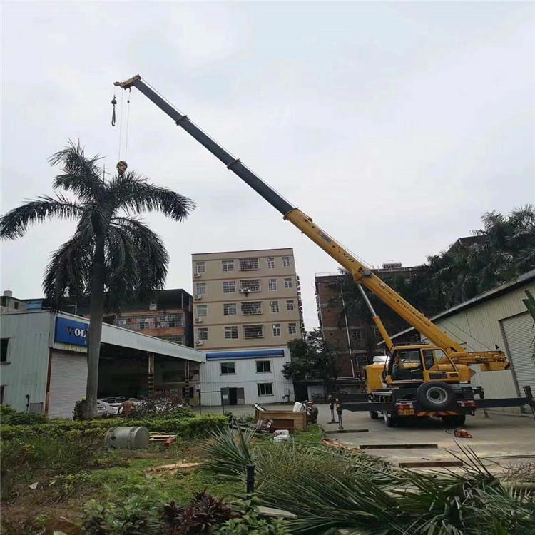 兰考汽车吊出租多少钱？全面解析与市场行情